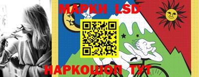 стафф Славгород