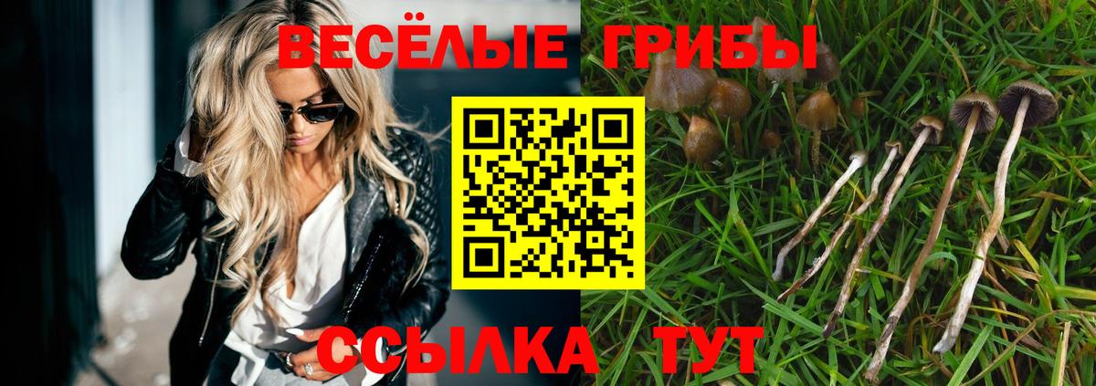 Галлюциногенные грибы Psilocybine cubensis  наркошоп  Октябрьский  Вход с VPN 