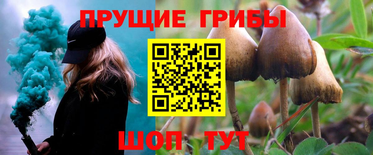 Псилоцибиновые грибы MAGIC MUSHROOMS Октябрьский